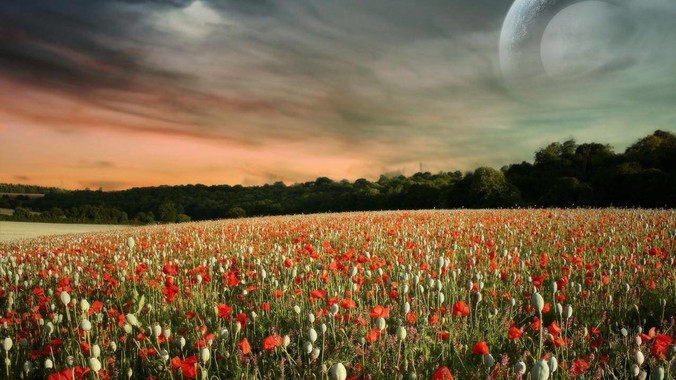 要从vim切换到neovim吗？